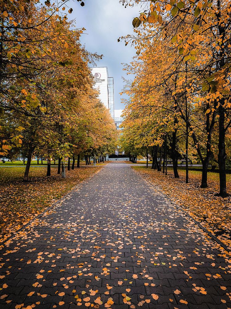 Photograph by Сергей Кесаев