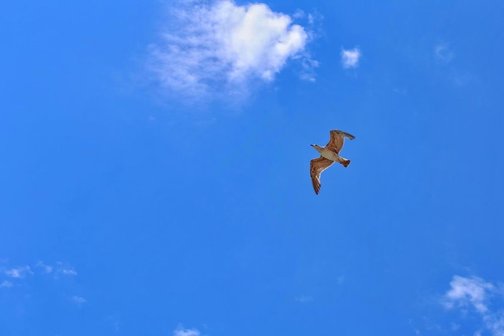 Photograph by Татьяна Бравая