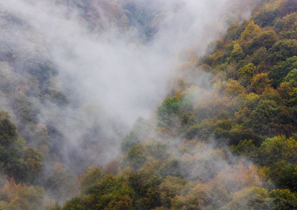 Photograph by Анна Бокова