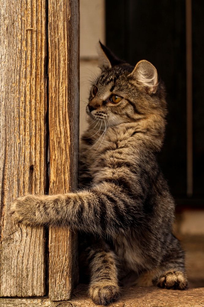 Photograph by Евгений Белов