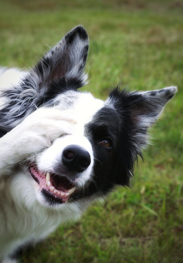 Photograph by Евгений Белов