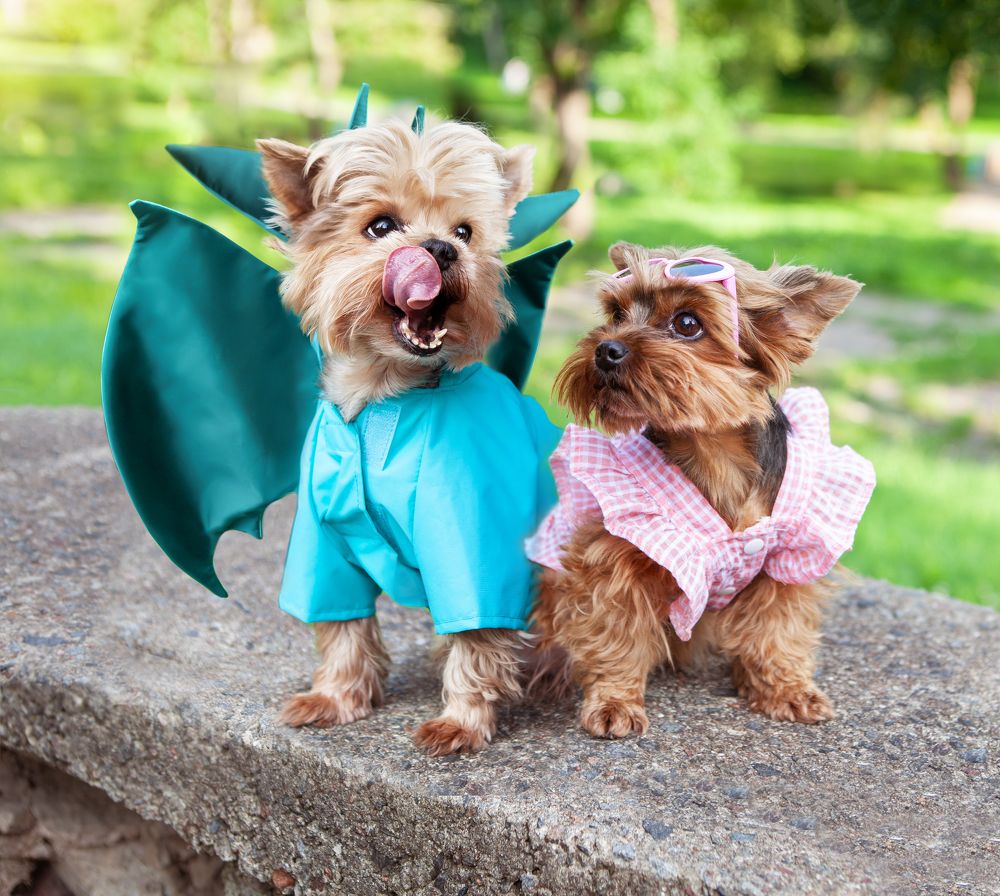 Photograph by Наталья Саксонова