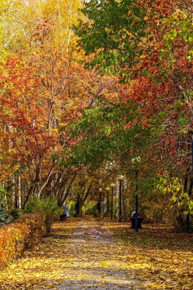 Photograph by Светлана Долгих