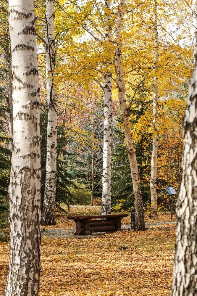 Photograph by Светлана Долгих