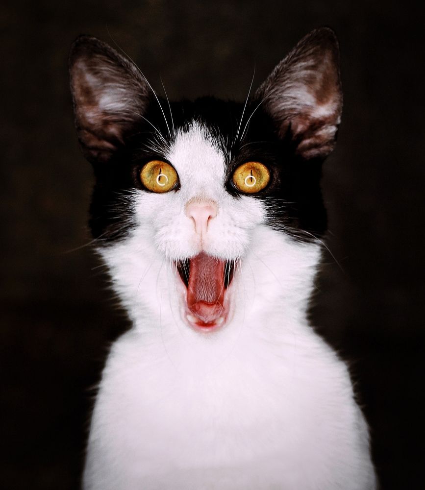 Photograph by Евгений Белов