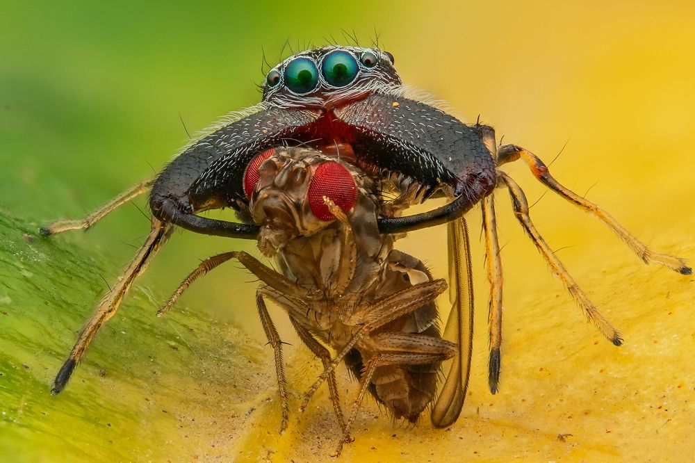 Photograph by Tinh Dang thanh