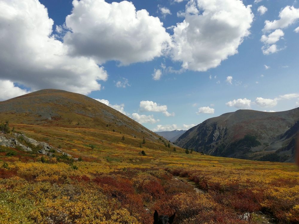 Photograph by Людмила Фурсова