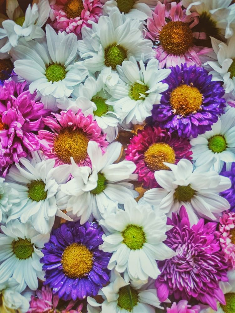 Photograph by Сергей