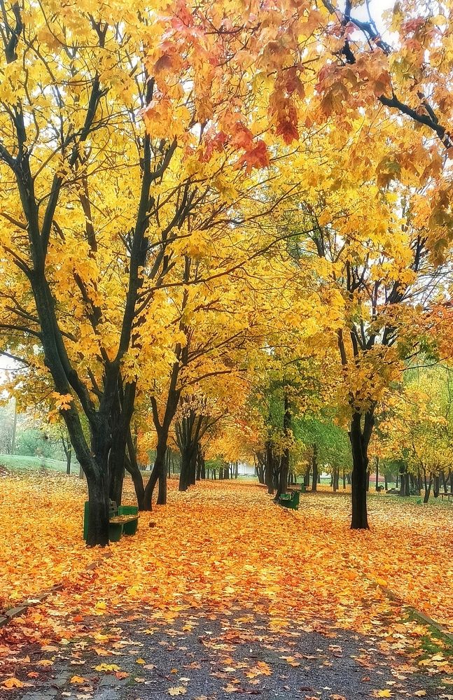 Photograph by Наталья Исиченко