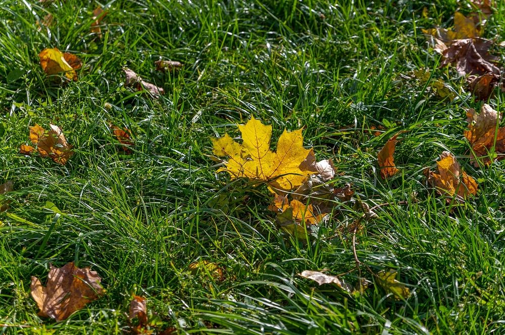 Photograph by Valery Kleymenov