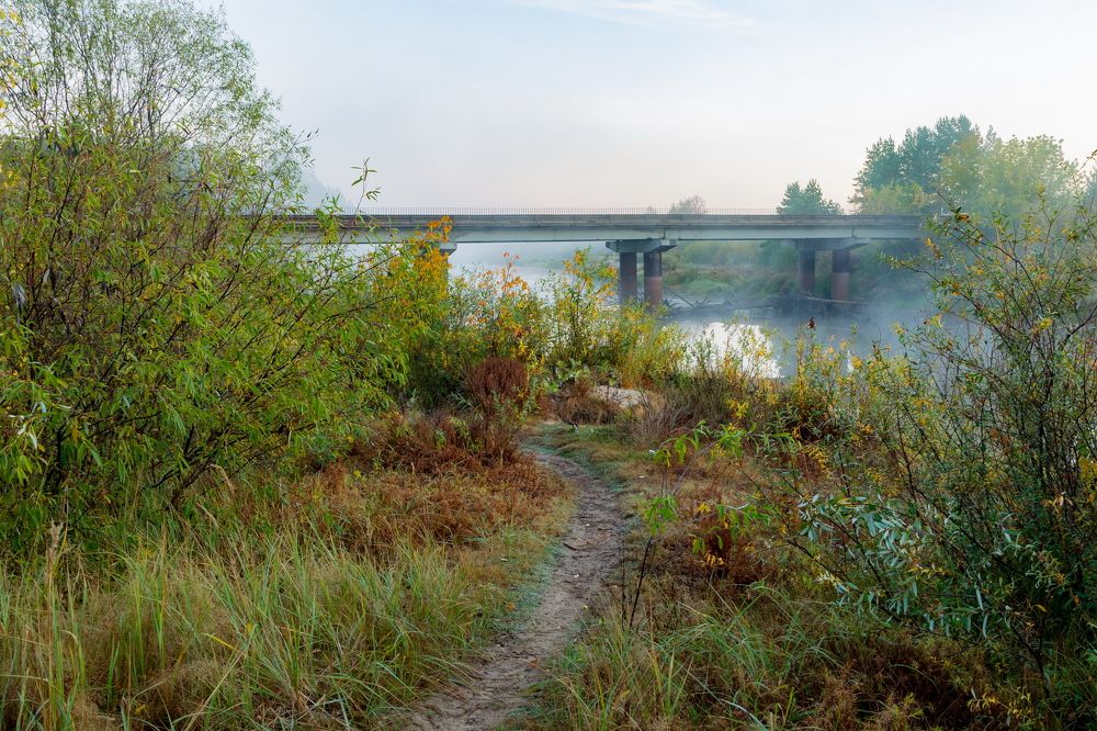 Сонные берега