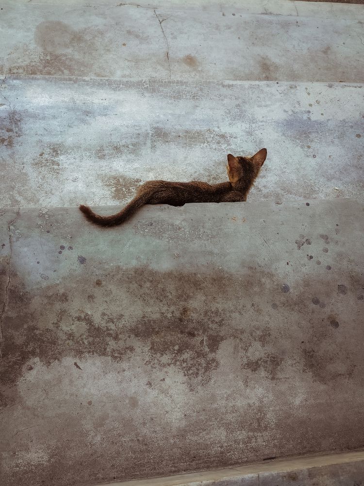 Photograph by jimtraveler indonesia