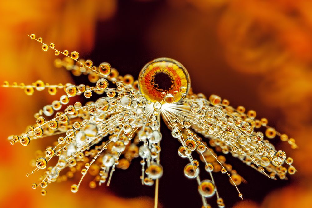 Photograph by Иван Радьков