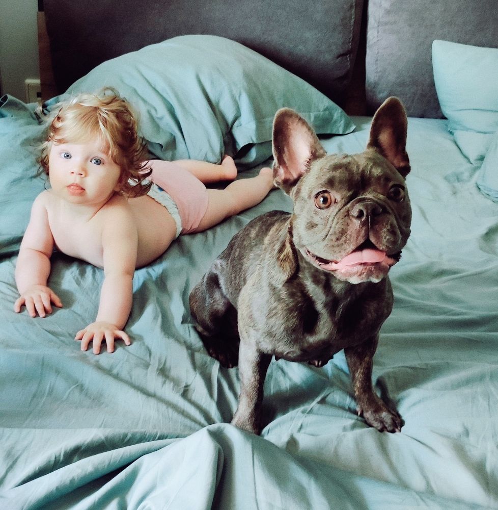 Photo #9680456