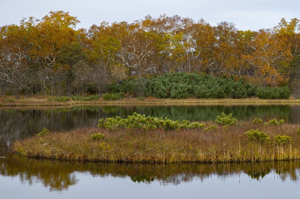 Photograph by Юлия Хобта