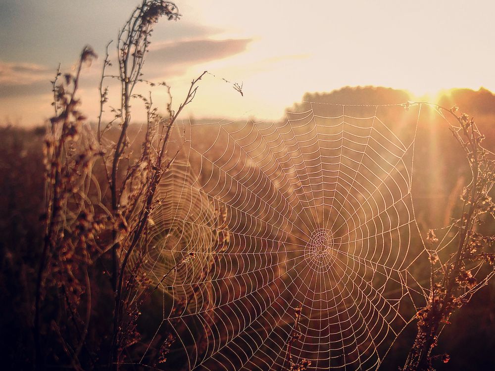 Photograph by Андрей Шаронов