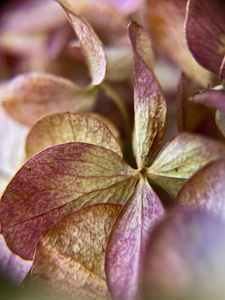 Photograph by Ольга Дорошенко