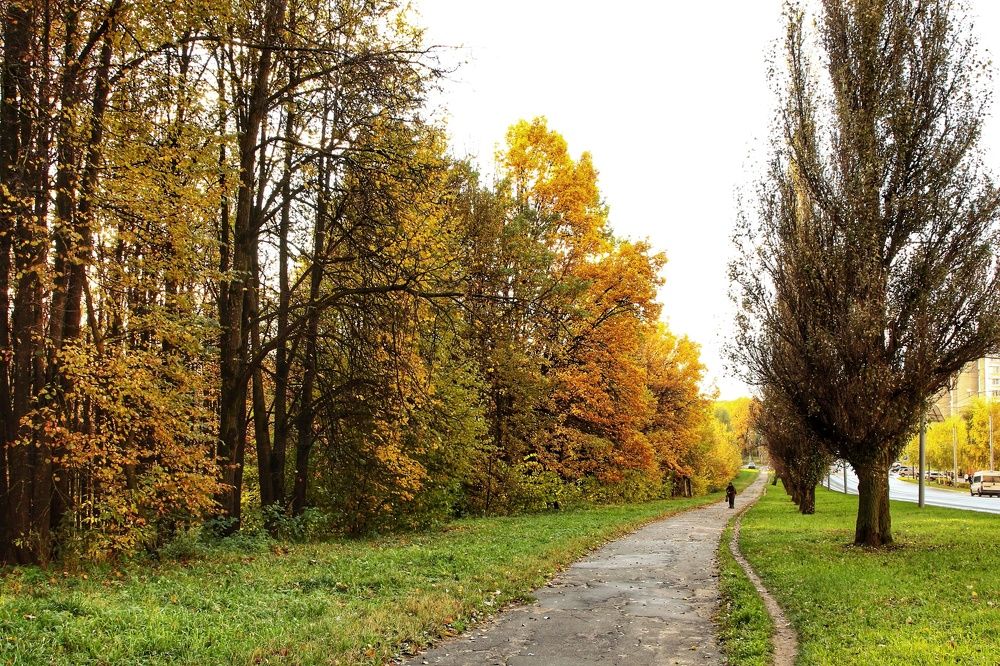 Photograph by Мария Андреева