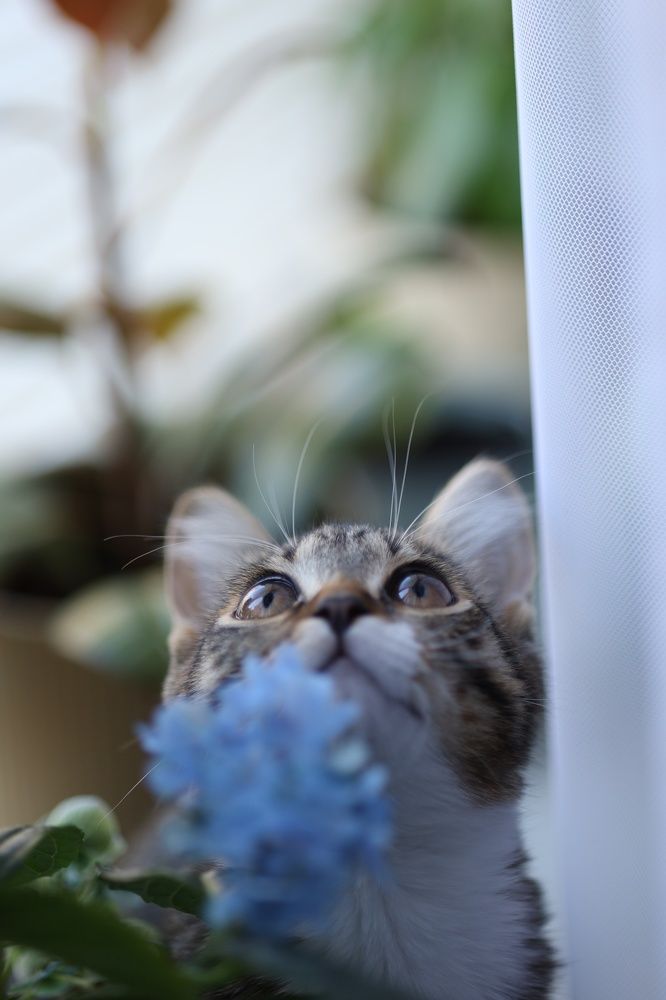 Photograph by Бальзирова Наталья