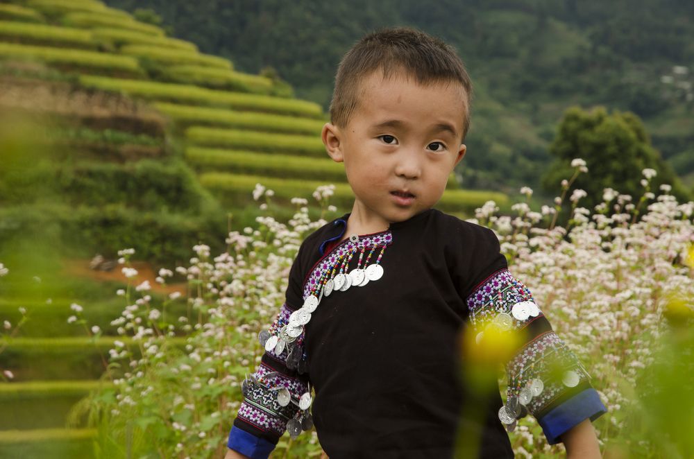 Photograph by Tinh Dang thanh