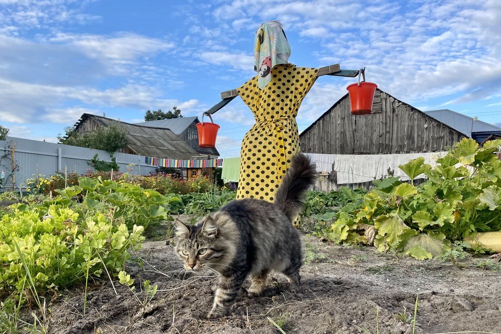 Photograph by Екатерина Шилкина