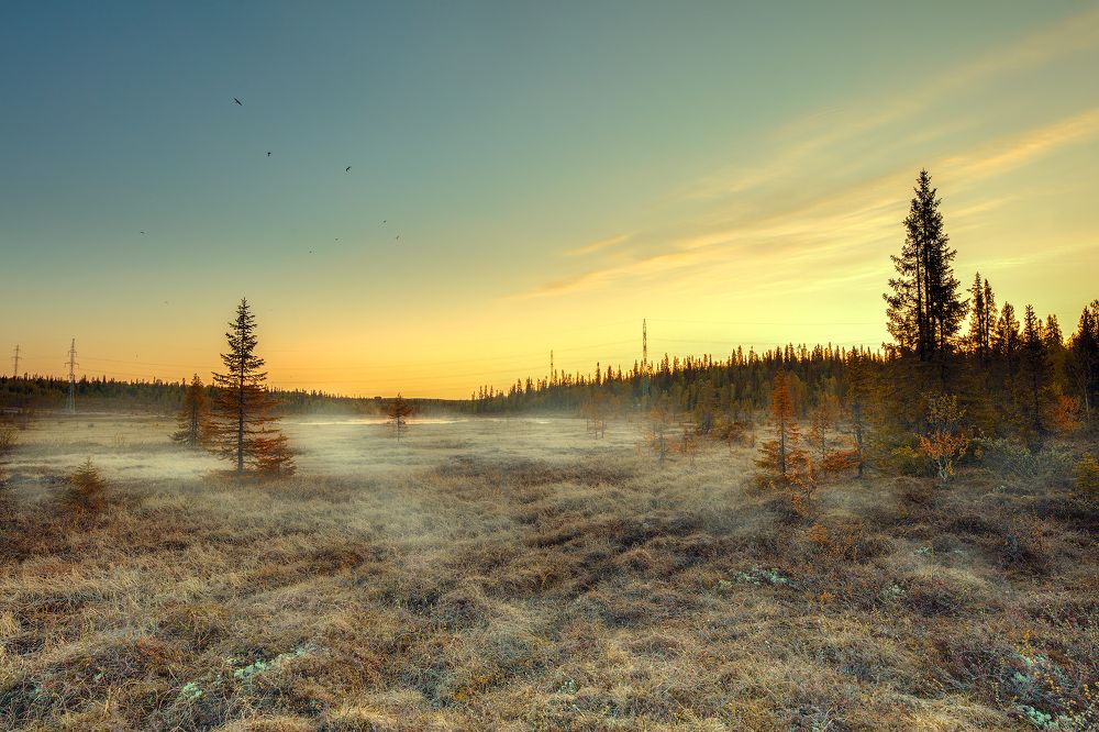 Photograph by Александр Ворошилов
