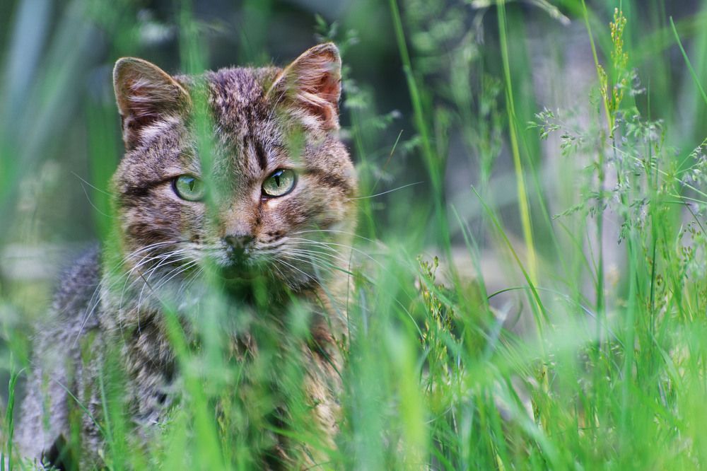 Photograph by Артем Клунко