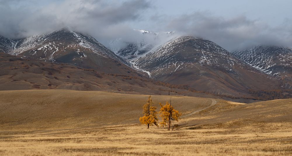 Photograph by Виктория Мишина