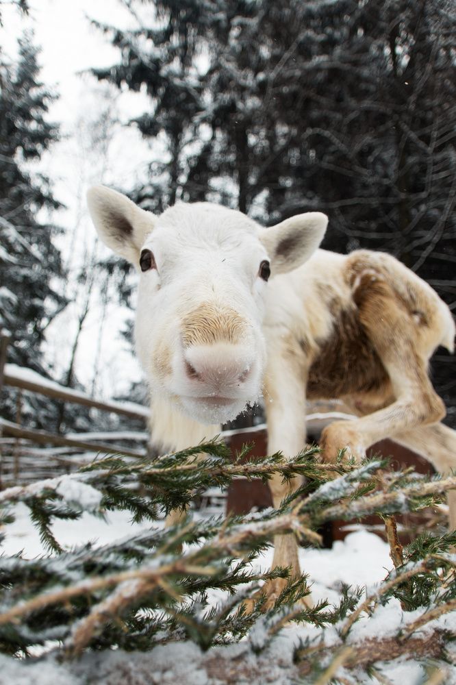 Photograph by Артем Клунко