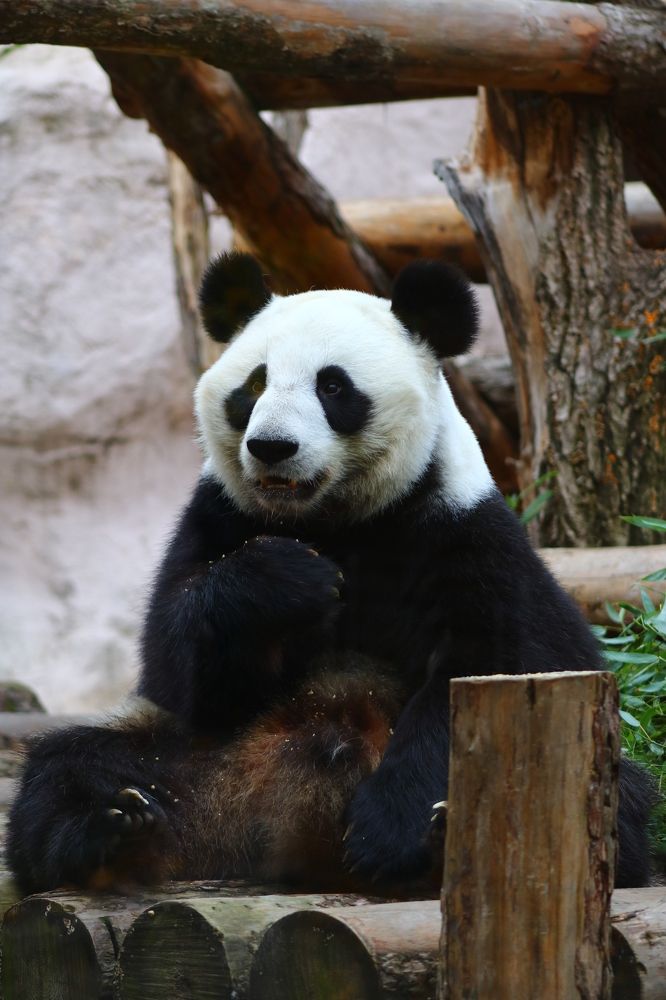 Photograph by Светлана Шуткова