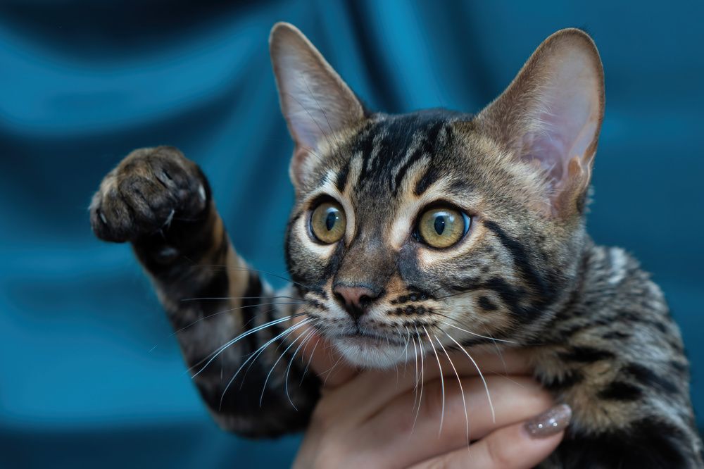 Photograph by Диана