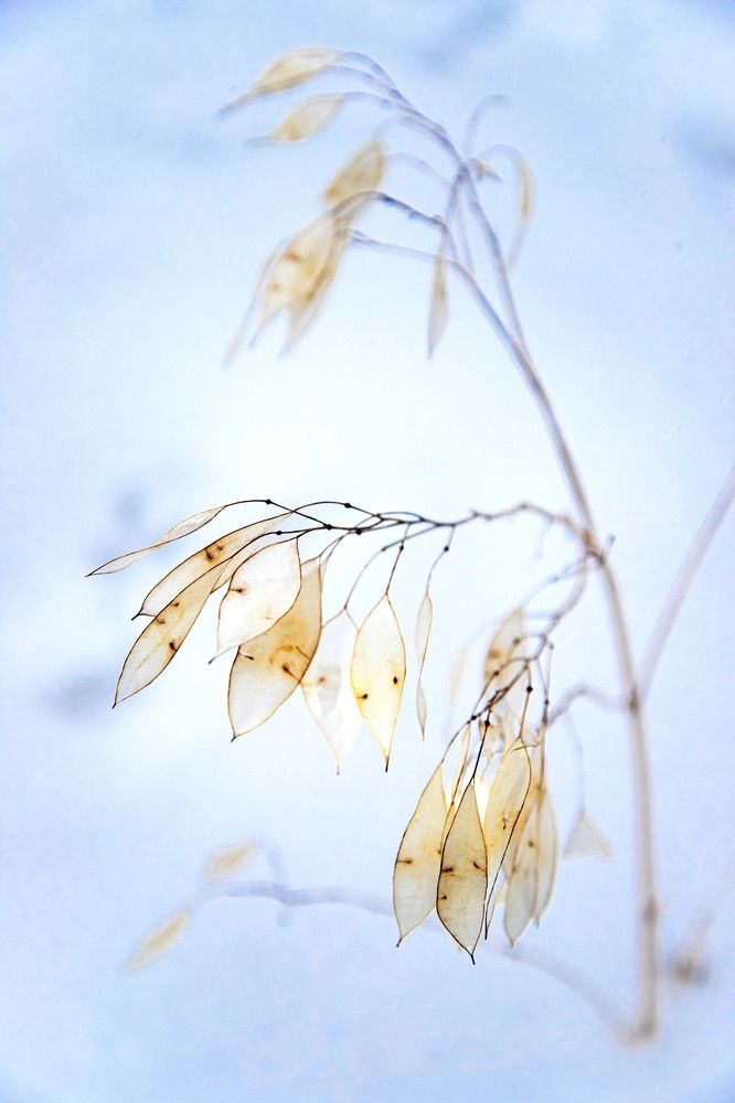 Photograph by Наталия Иванникова