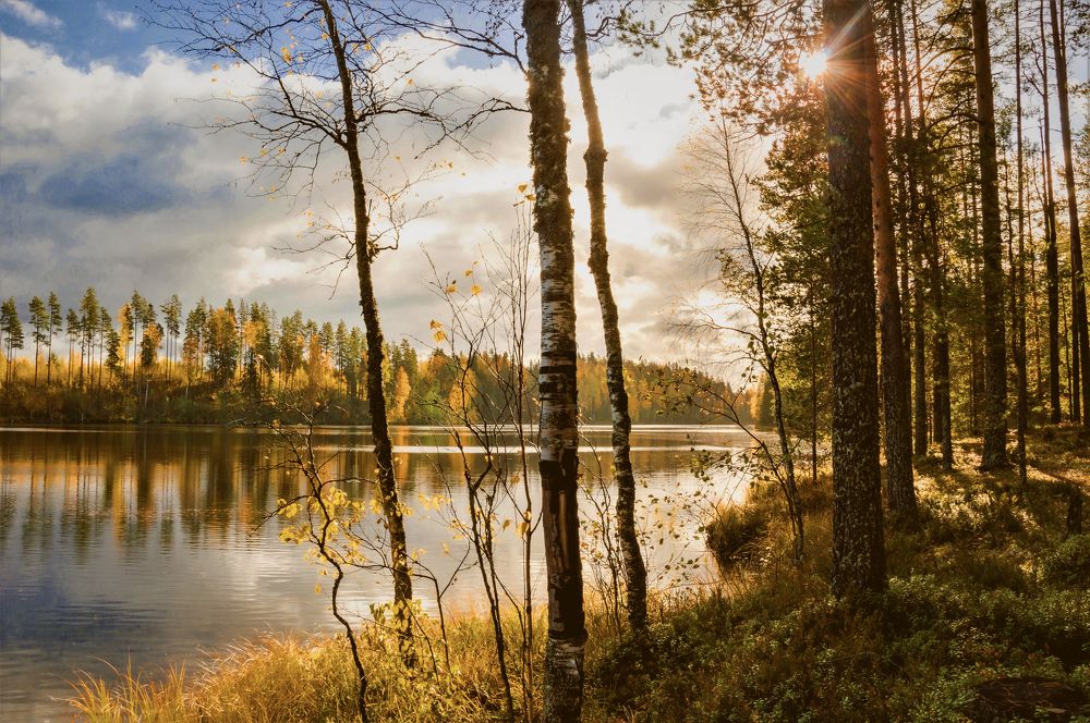 Photograph by Олег Менакер