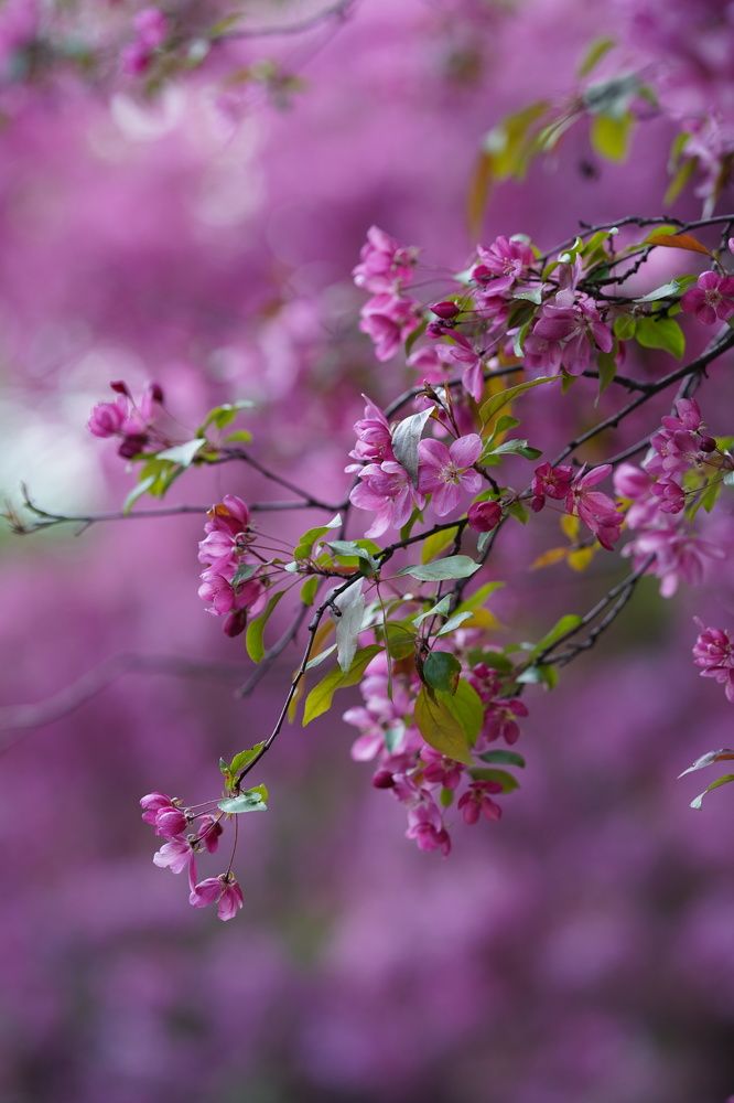 Photograph by Maria Zagagul