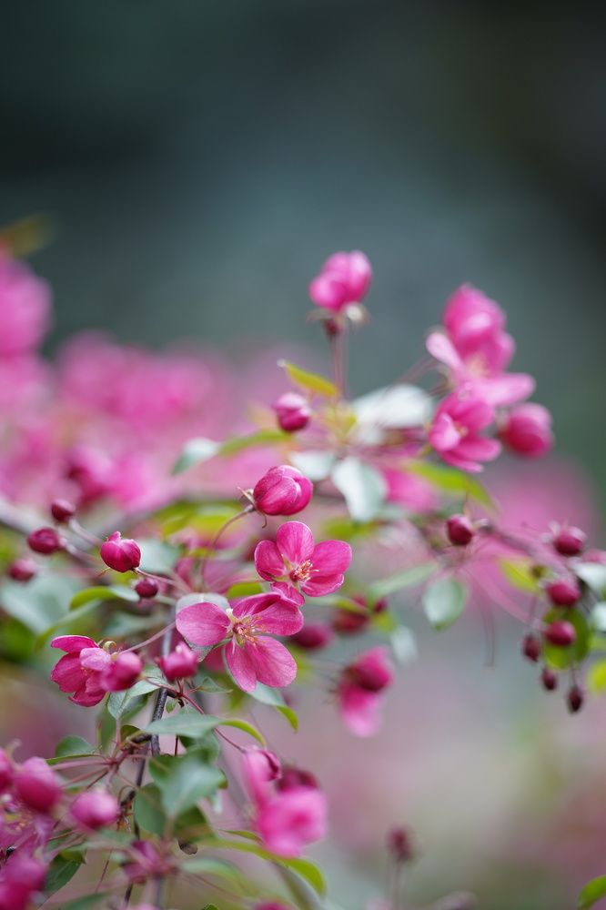Photograph by Maria Zagagul