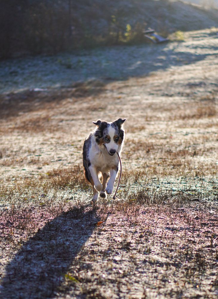 Photograph by Диана