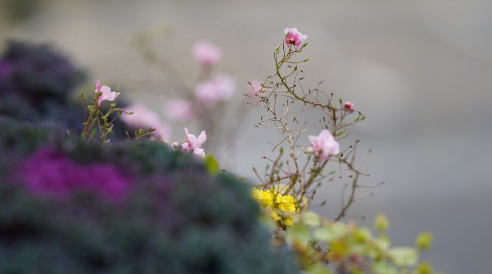 Photograph by Maria Zagagul