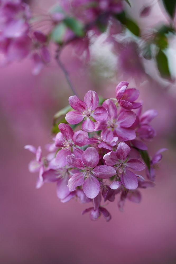 Photograph by Maria Zagagul