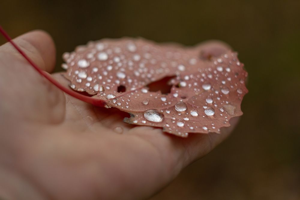 Photograph by Алексей