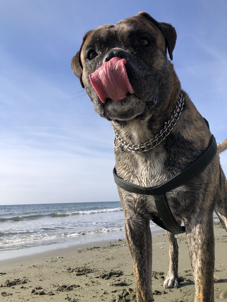 Photograph by Anna Poponina