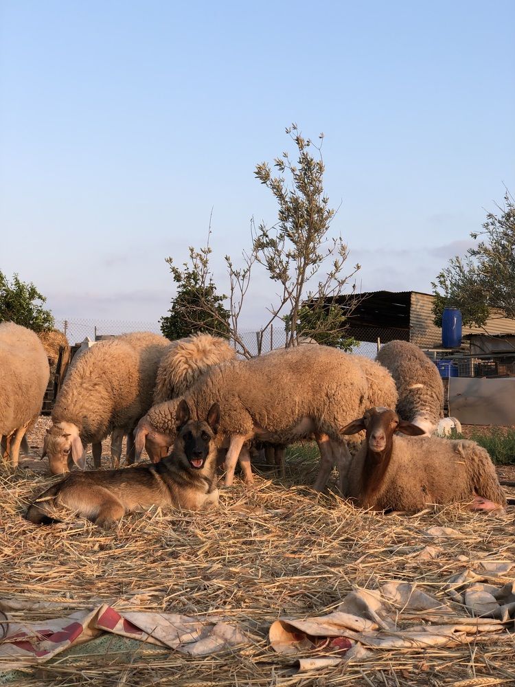 Photograph by Anna Poponina