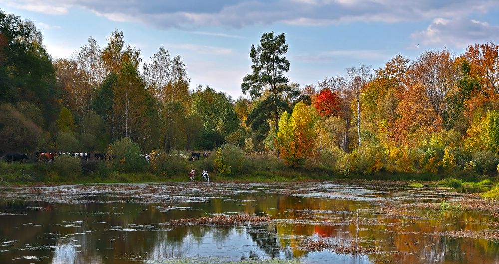 Photograph by Борис Новиков