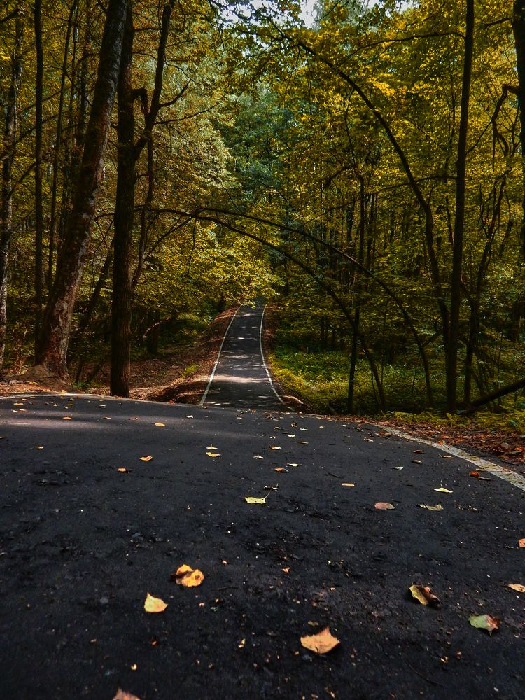 Photograph by Владислав Треус