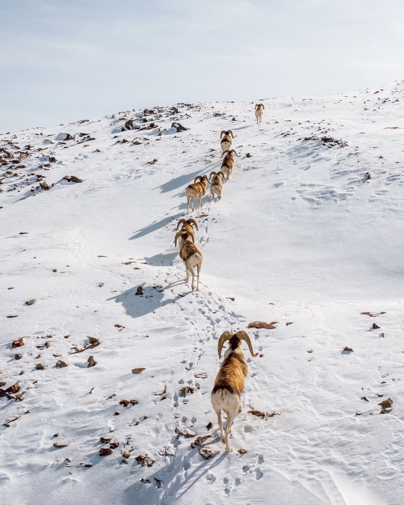 Photograph by Илья