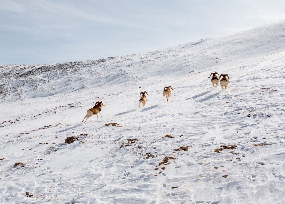 Photograph by Илья