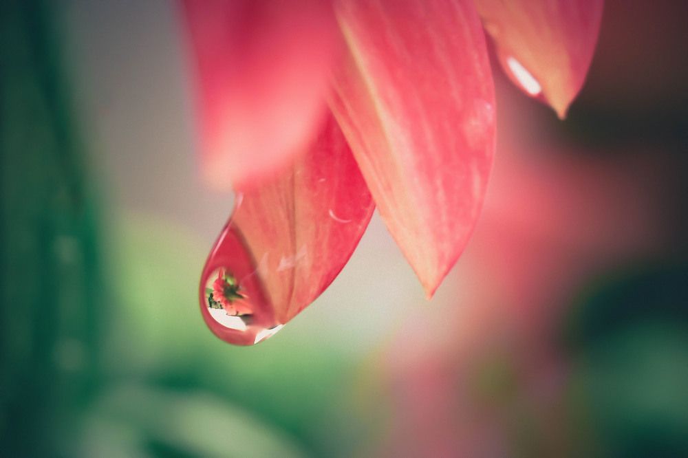 Photograph by Нели Арнаудова