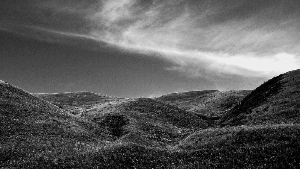 Photograph by Александр Кудрявцев