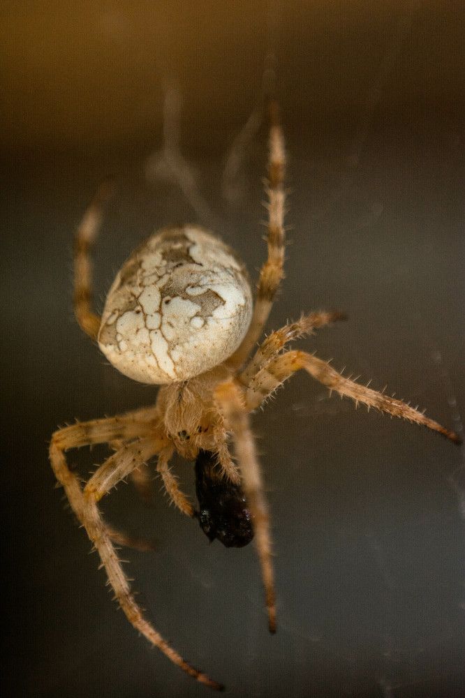 Photograph by Людмила Прибылова