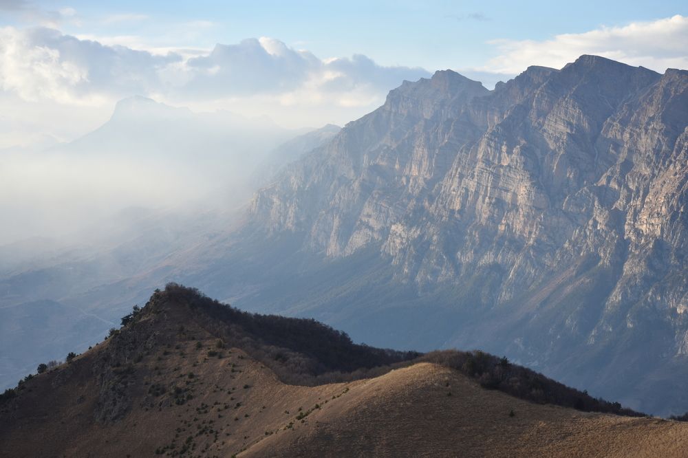 Фотография автора АНАСТАСИЯ ЛЕВИНА