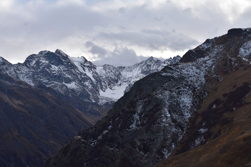 Фотография автора АНАСТАСИЯ ЛЕВИНА